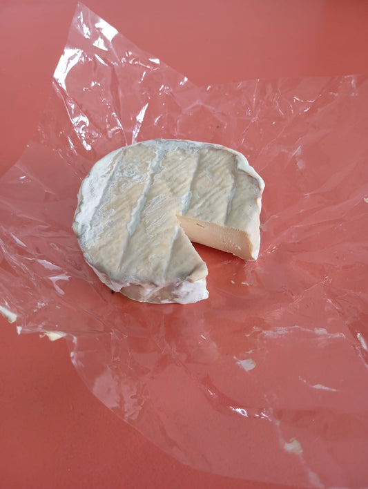 Ugly Cheese - Cajuberto