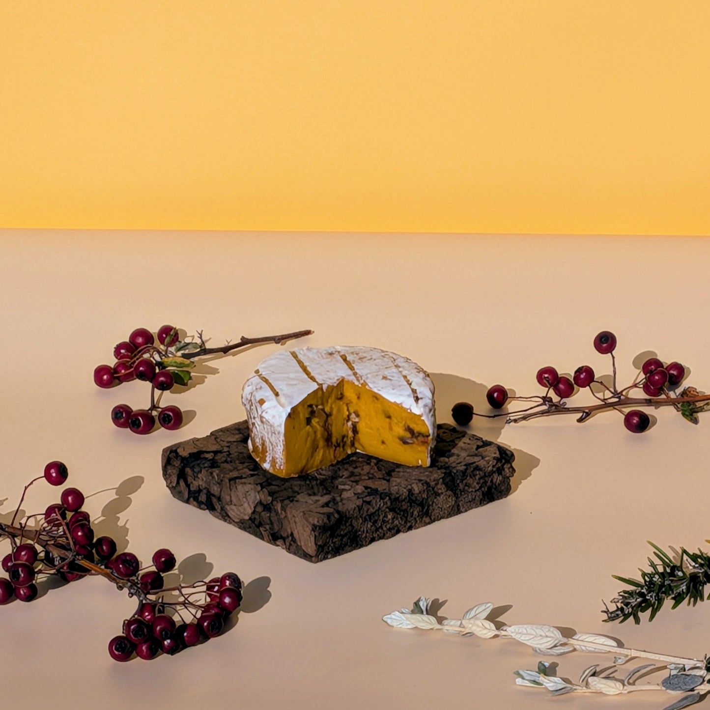 Tâmara & Cúrcuma - Edição Especial de Natal