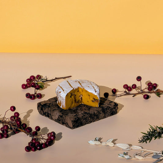 Tâmara & Cúrcuma - Edição Especial de Natal