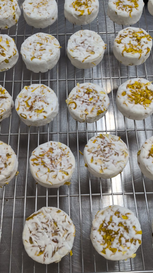 Cebola Fumada e Açafrão - Edição Especial Fevereiro