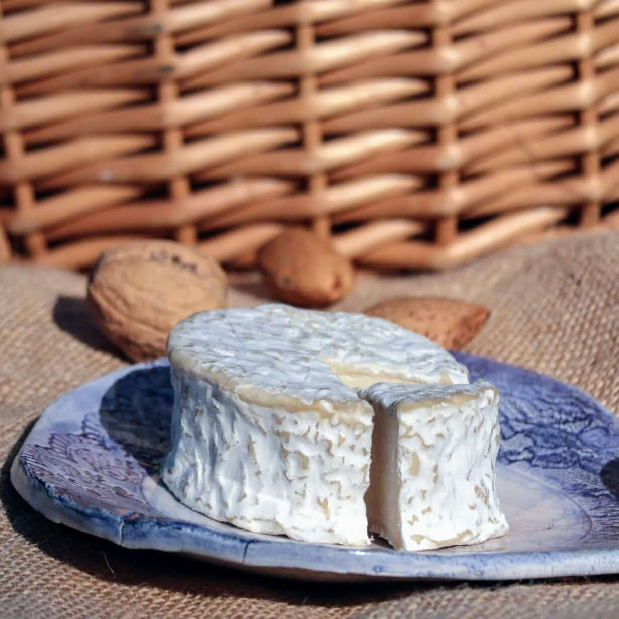 Cajuberto - MUKA (alternativa vegetal ao queijo Camembert)
